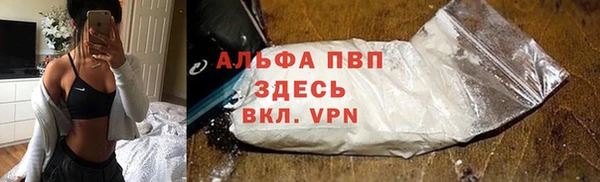 PSILOCYBIN Бронницы