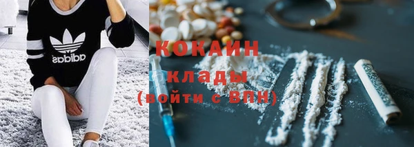 PSILOCYBIN Бронницы