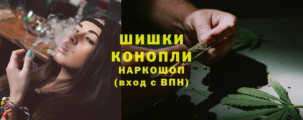 PSILOCYBIN Бронницы