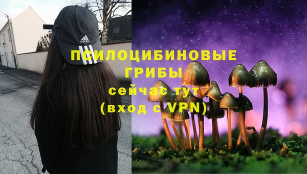 бошки Бугульма