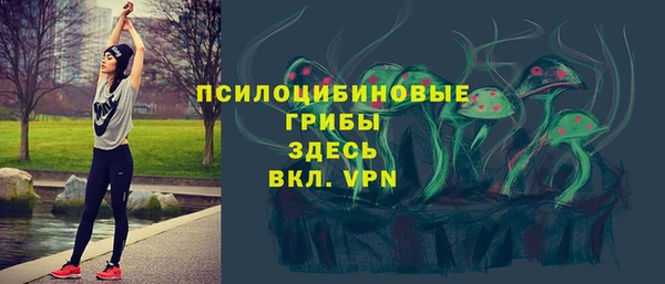 бошки Бугульма