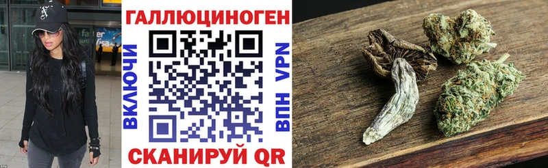 Купить где  Павловск  Галлюциногенные грибы Psilocybine cubensis 